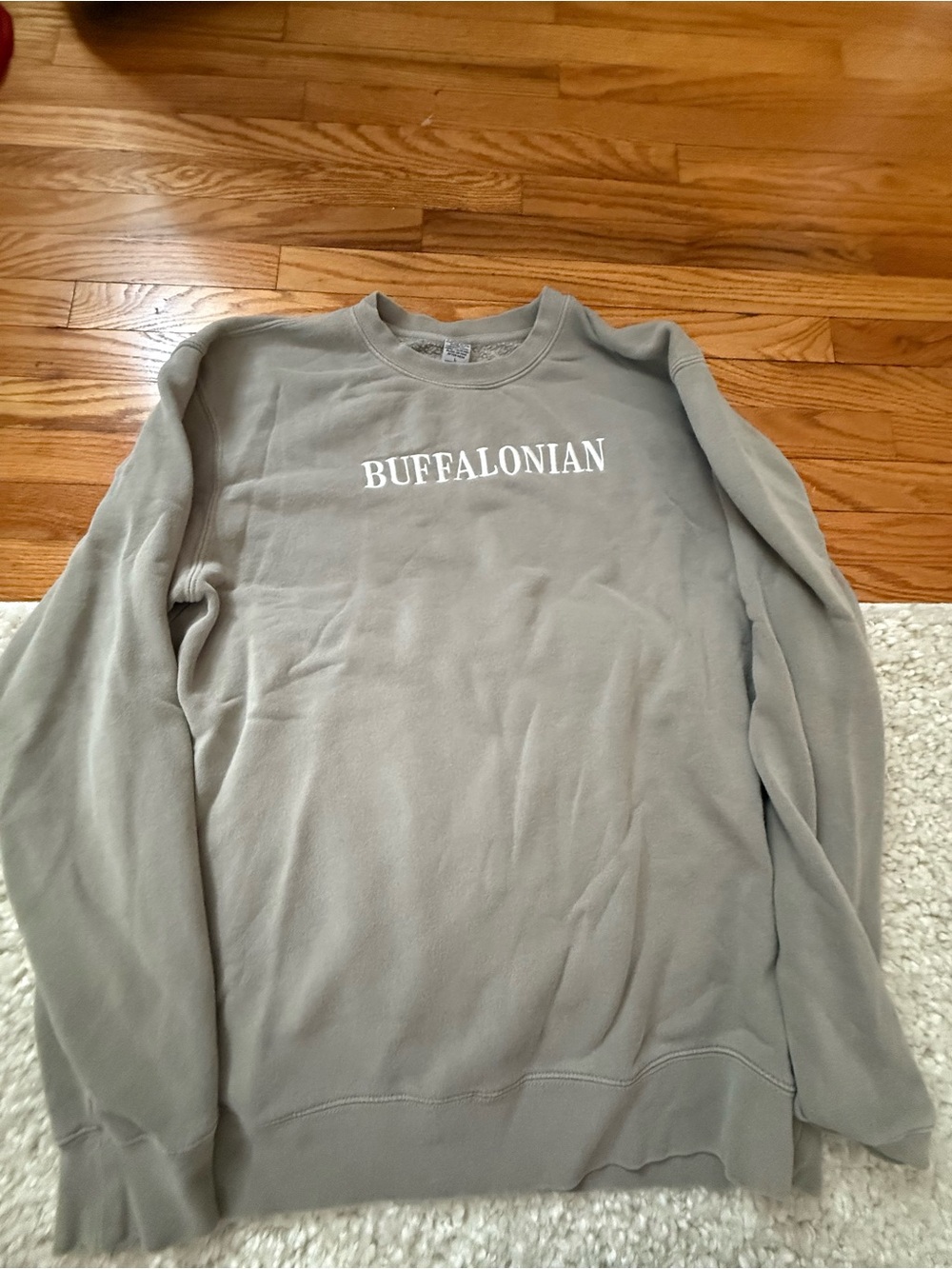 Buffalo Crewneck Sweatshirt in Light Gray
